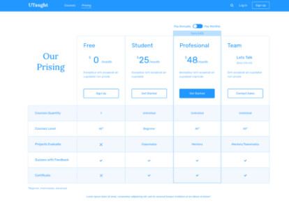 saas Prise page Wireframe